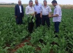 Bozova Ziraat Oda Başkanı Fuat Almas;‘iyi ürün iyi tarımla olur’
