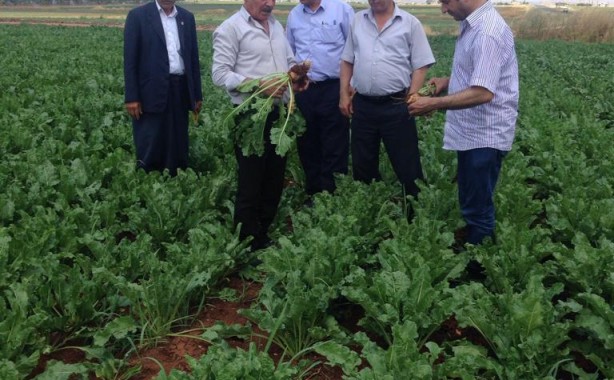 Bozova Ziraat Oda Başkanı Fuat Almas;‘iyi ürün iyi tarımla olur’