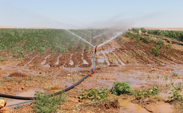 Şanlıurfa’da tarımsal sulamada kaçak elektrik tüketimi alarm veriyor!