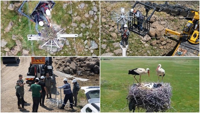 Doğal Yaşama Enerji Veren Proje: Göçmen Kuşlar Dicle Elektrik ile Güvende