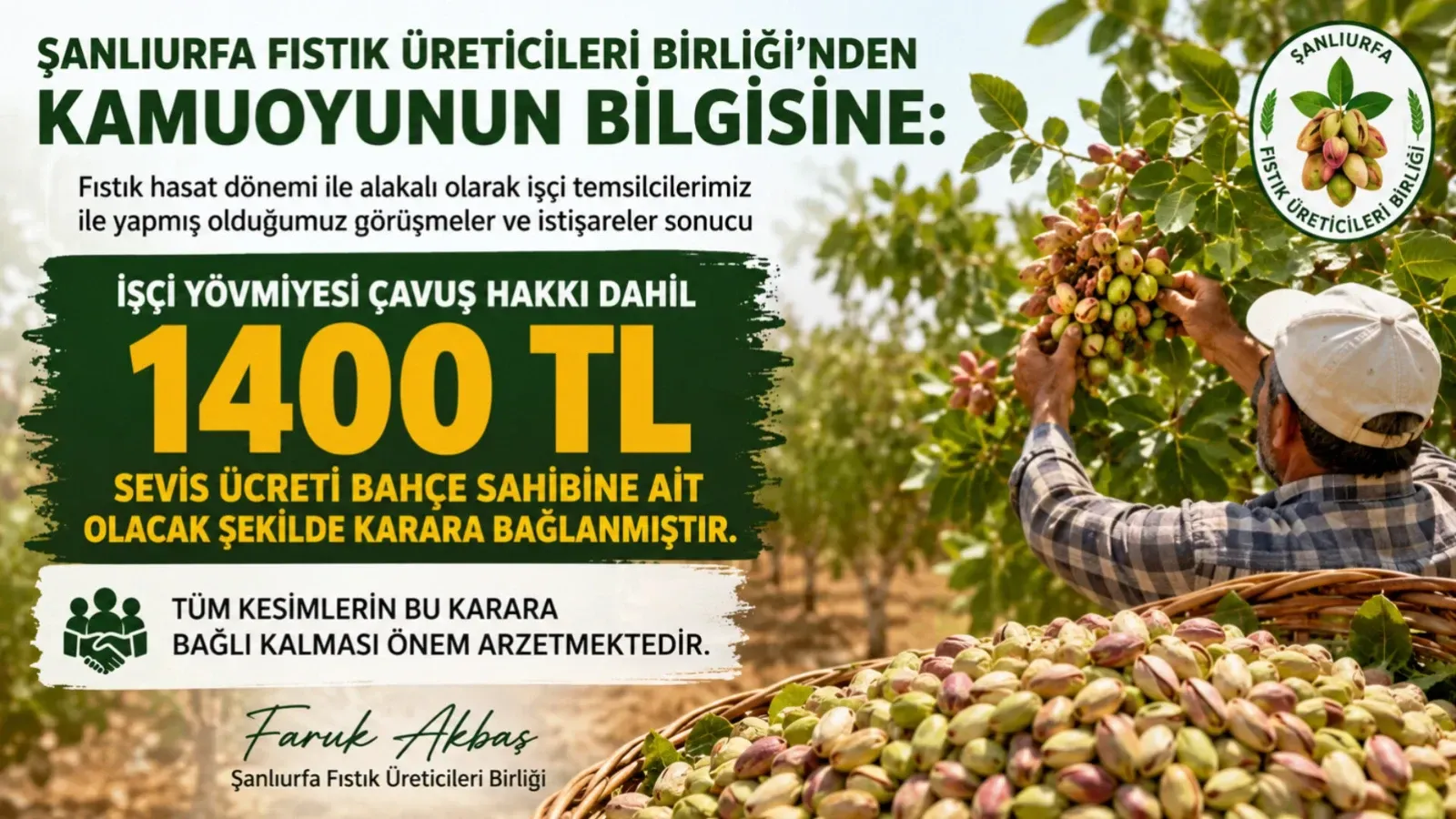 Şanlıurfa Fıstık Hasadında İşçi Ücreti Belli Oldu! Üreticiler Birliği Kararı Duyurdu