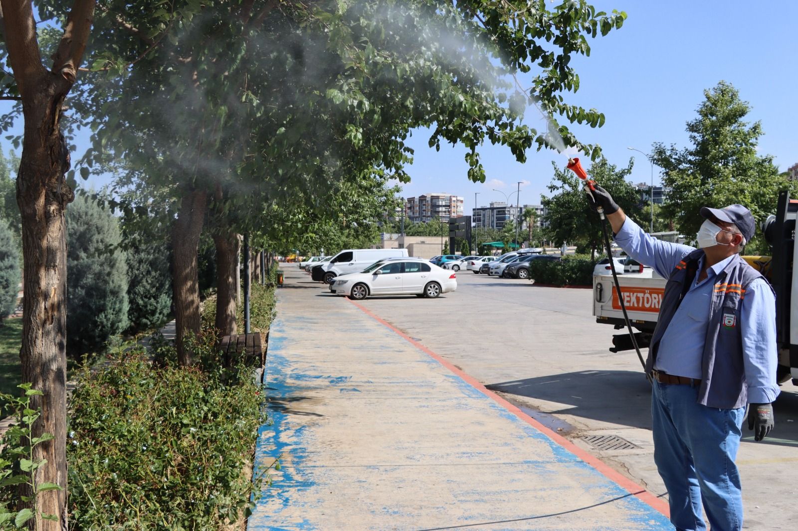 Şanlıurfa’da sivrisinek ve karasineğe karşı ilaçlama çalışmaları sürüyor