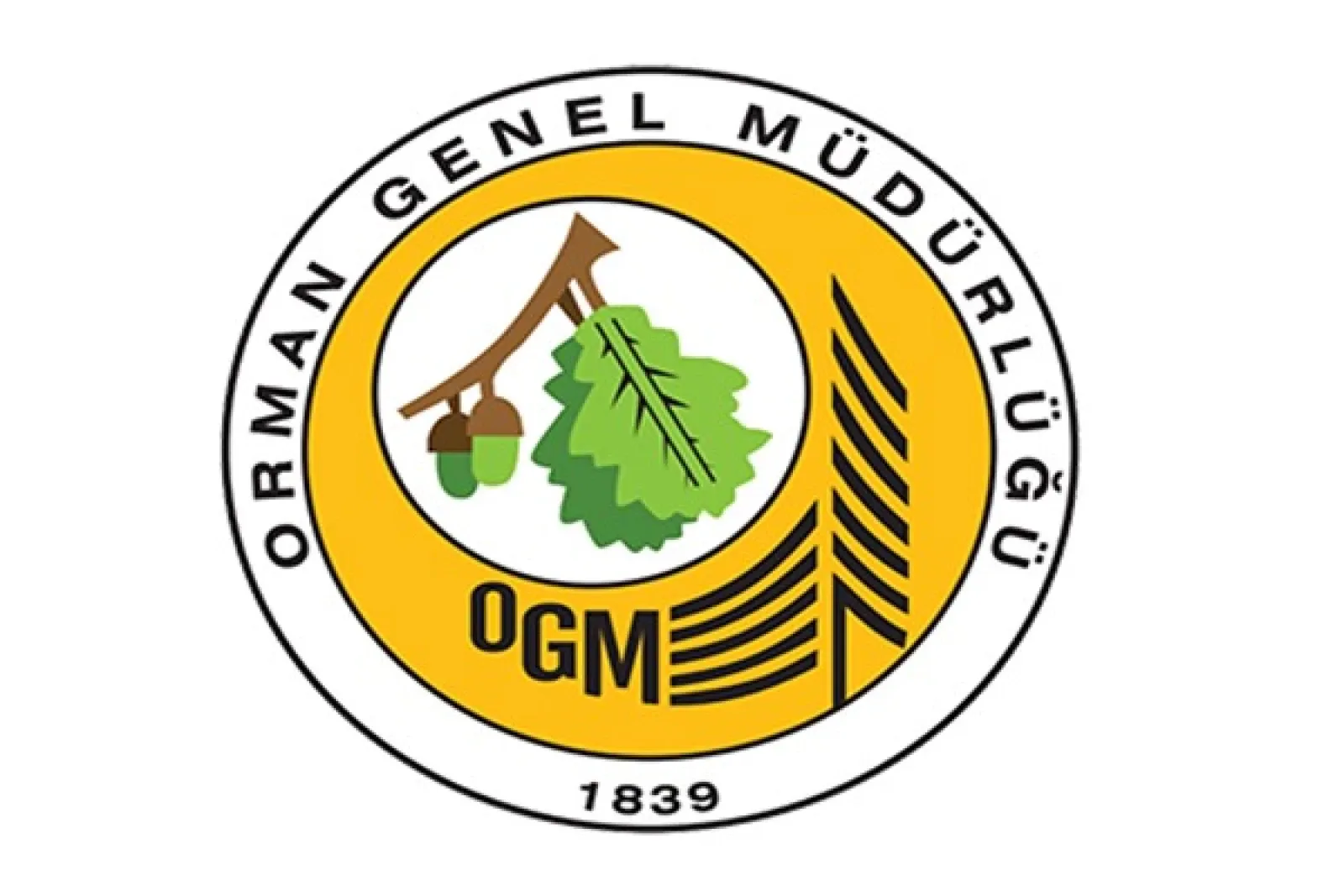 OGM’den yangın uyarısı: Araçlardaki ihmaller de orman yangınına neden olabilir