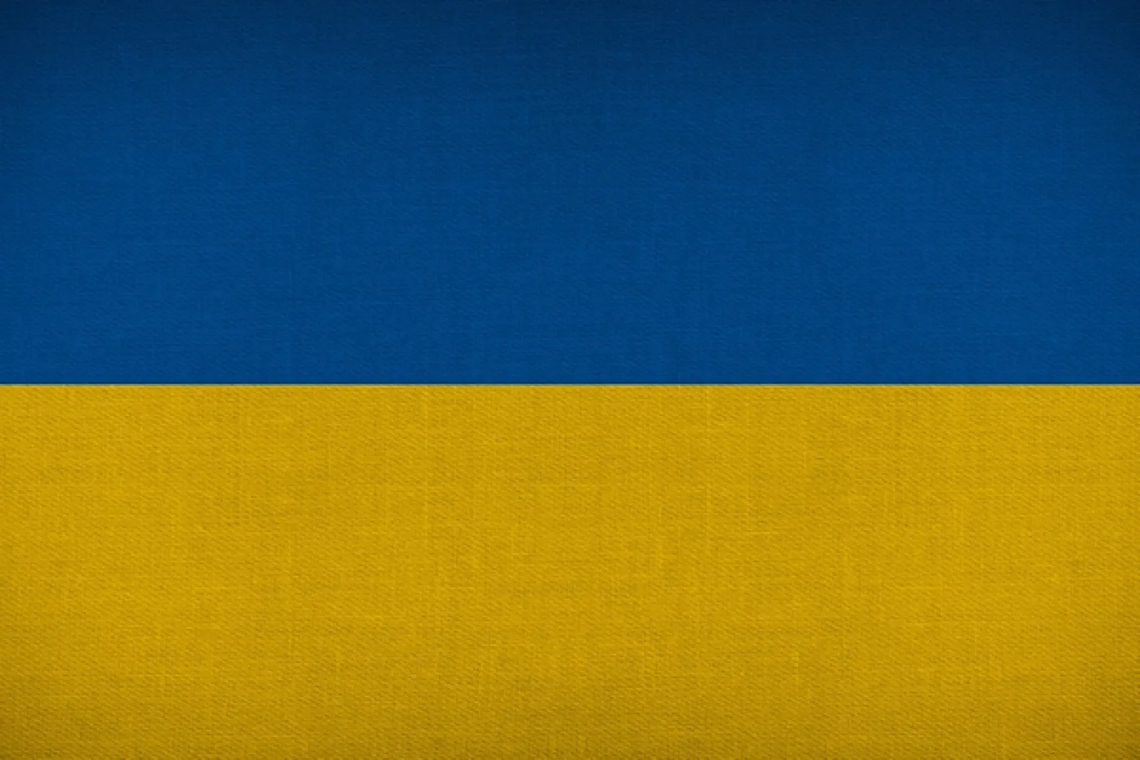 Ukrayna: Rusya bir yazda 10 milyondan fazla kitabı yok etti