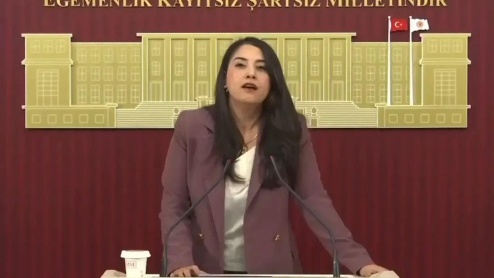 Ayan’dan İktidara Fıstık Tepkisi: Çiftçi Nasıl Ayakta Kalacak?
