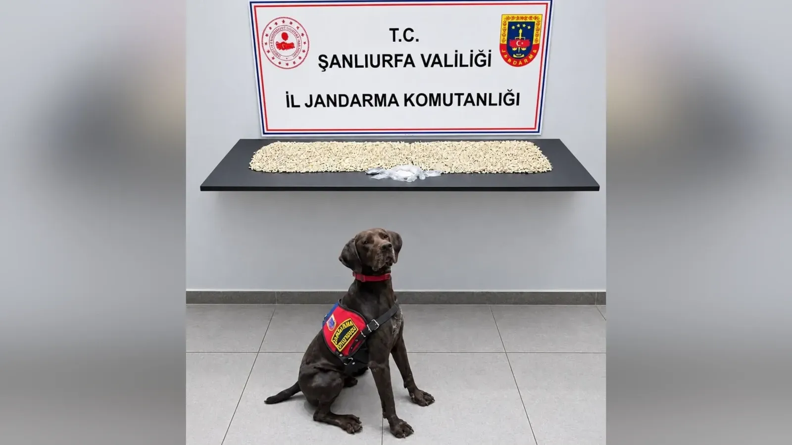 Şanlıurfa’da uyuşturucu operasyonu: 14 bin 410 Captagon ele geçirildi